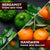 Body Wash - Bergamot & Mandarin (200ml)