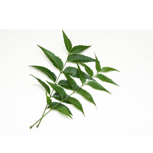 Neem