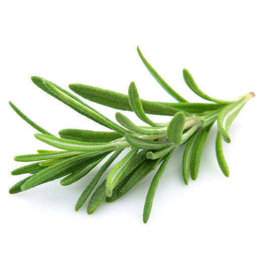 Rosemary