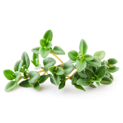 Thyme