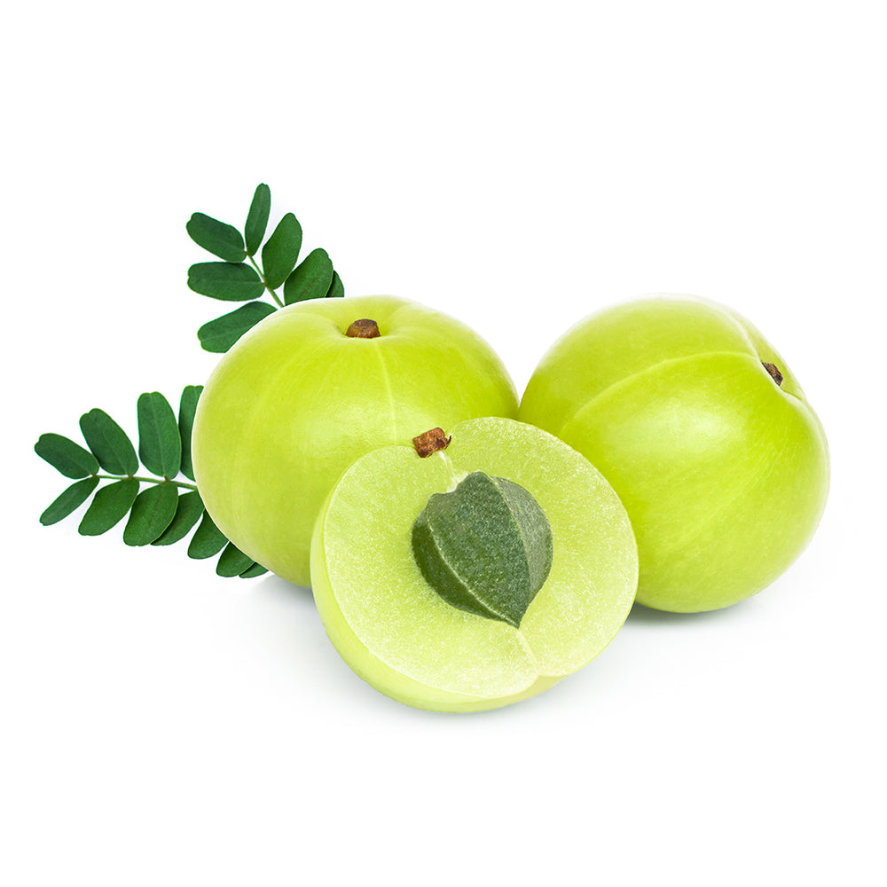 Amla – The Man Company
