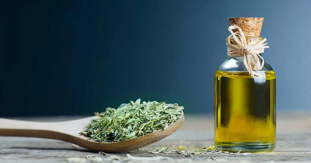 The benefits of Thyme are known far and wide