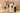 Bundle Banner