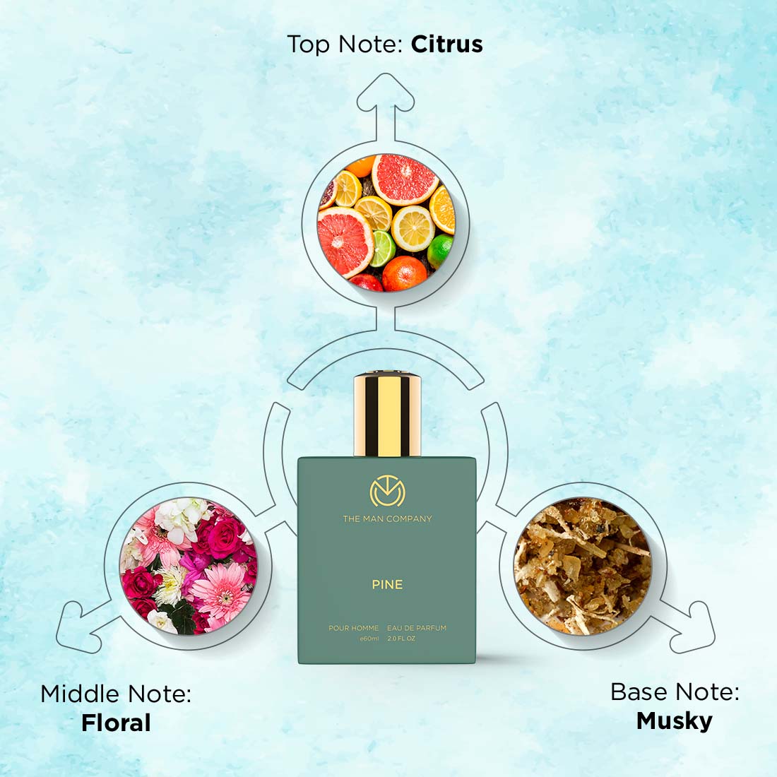 Eau De Parfum |Pine (60 ML) – The Man Company