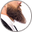Grey Beard