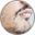 Patchy Beard