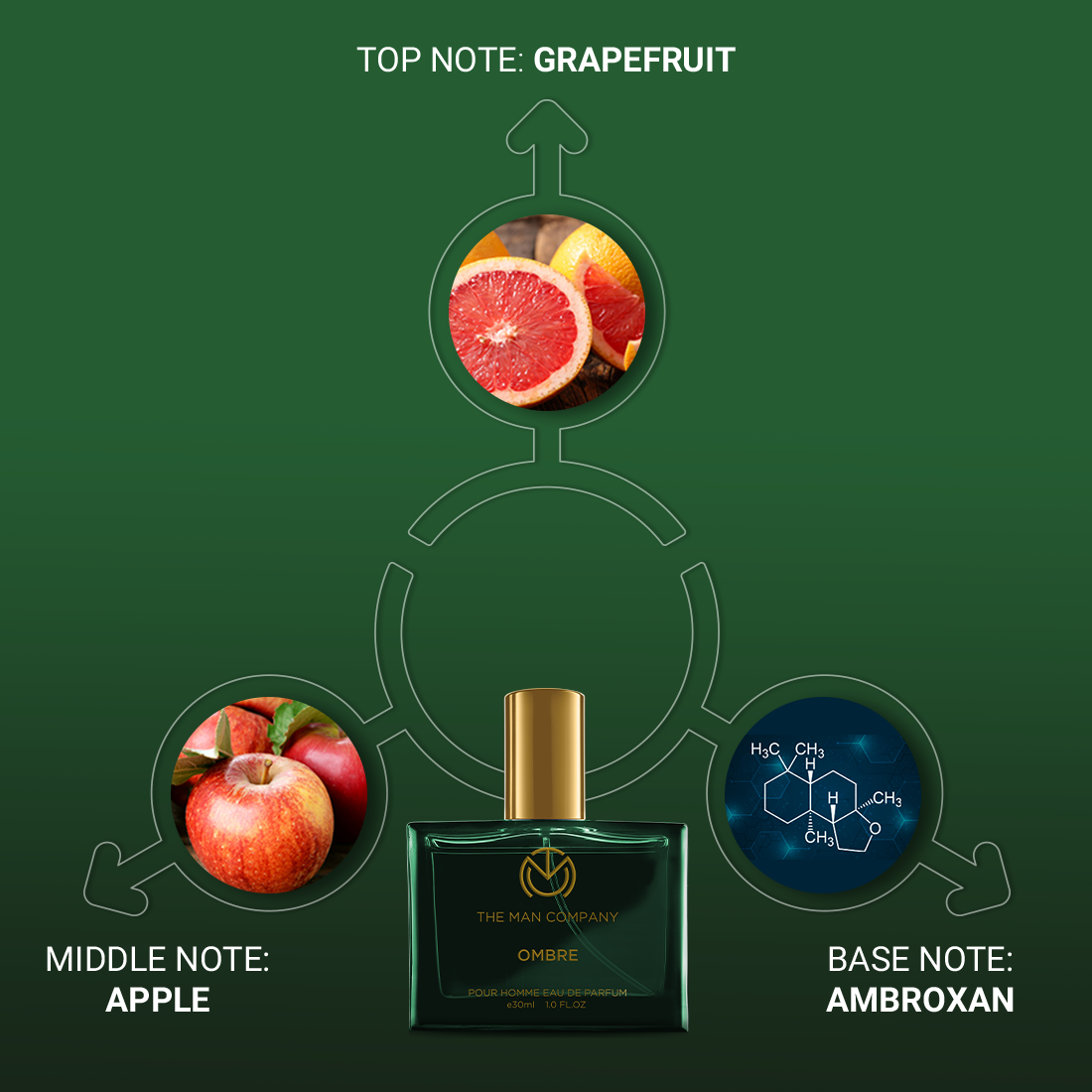 Refreshing & Warm Fragrance Combo