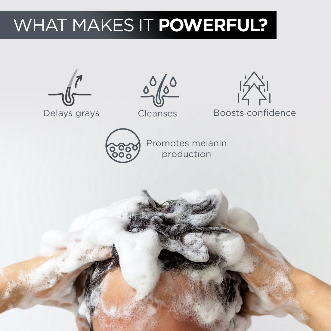 Grey Hair Remedy Kit